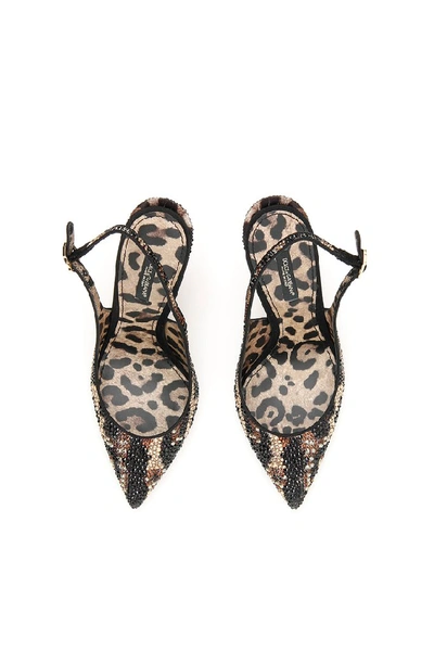 Shop Dolce & Gabbana Leopard Print Embellished Slingback Pumps In Multi