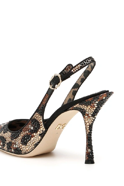 Shop Dolce & Gabbana Leopard Print Embellished Slingback Pumps In Multi