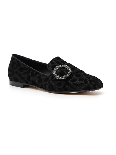 Shop Dolce & Gabbana Leopard Print Loafers In Brown