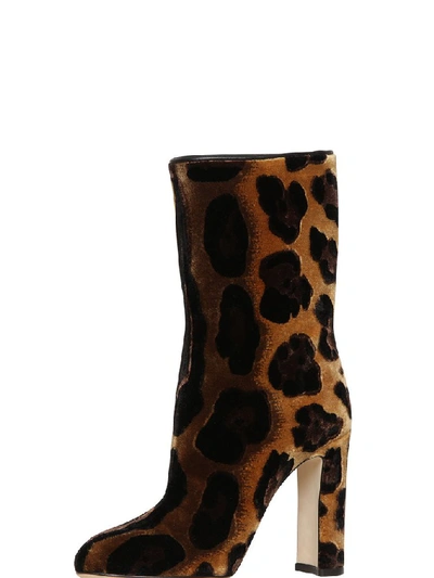 Shop Dolce & Gabbana Animal Print Boots In Multi