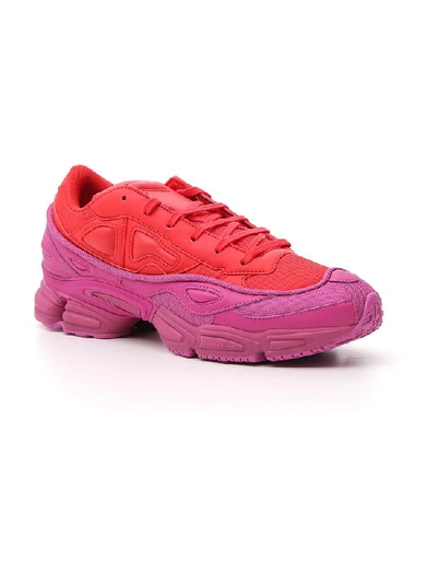 Shop Adidas Originals Adidas By Raf Simons Rs Ozweego Sneakers In Multi