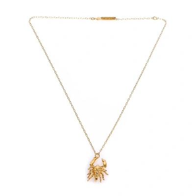 Shop Ambush Scorpion Charm Necklace In Gold