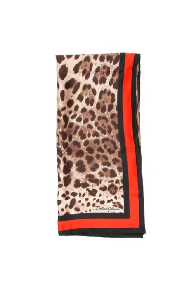 Shop Dolce & Gabbana Leopard Print Scarf In Multi