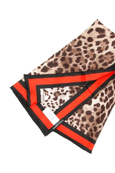 Shop Dolce & Gabbana Leopard Print Scarf In Multi