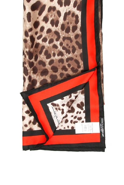 Shop Dolce & Gabbana Leopard Print Scarf In Multi