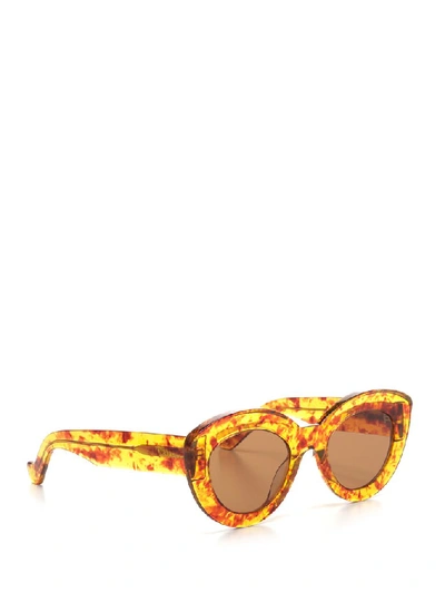Shop Loewe Cat Eye Sunglasses In Multi