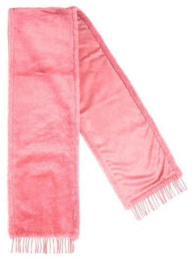 Shop Max Mara Alceste Fringed Camel Stole In Pink