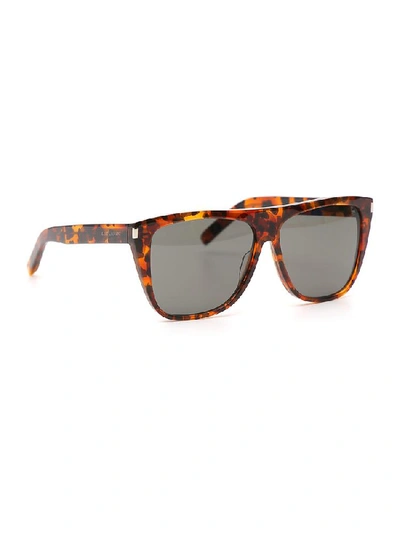 Shop Saint Laurent Eyewear Leopard Side Logo Sunglasses In Brown