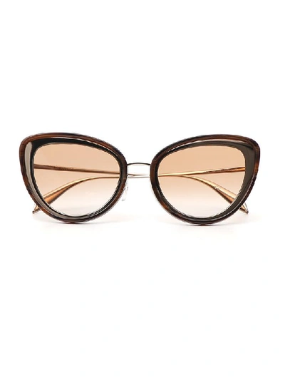 Shop Alexander Mcqueen Cat Eye Sunglasses In Brown