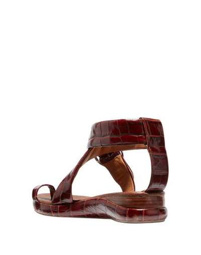 Shop Chloé Toe Strap Sandals In Brown