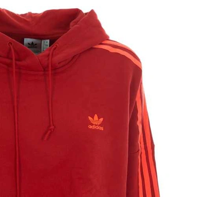 Shop Adidas Originals Cropped Hoodie In Red