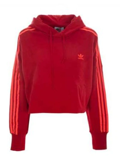 Shop Adidas Originals Cropped Hoodie In Red