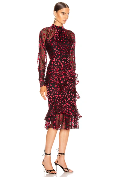 Shop Saloni Alek B Dress In Hearts