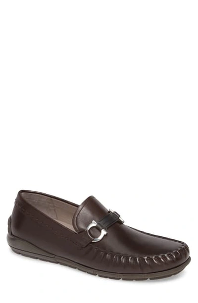 Shop Ferragamo Tasby Driving Shoe In Brown Leather