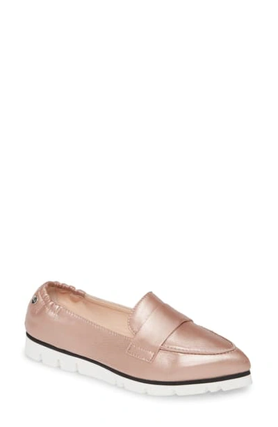 Shop Agl Attilio Giusti Leombruni Micro Pointed Toe Loafer In Pale Pink Metallic