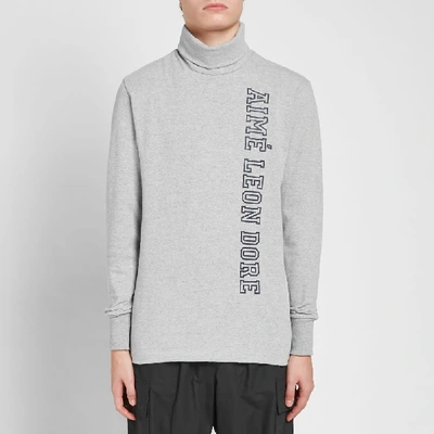 Shop Aimé Leon Dore 16oz Turtle Neck Jersey In Grey