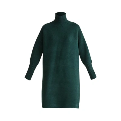 Shop Paisie Ribbed Polo Neck Jumper Dress In Green