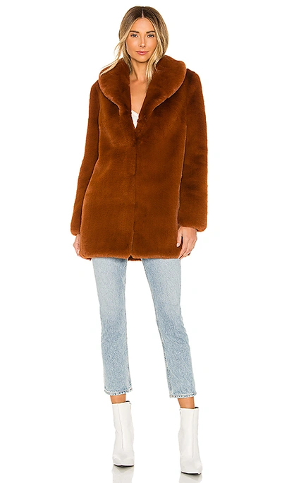 Shop Majorelle Tatiana Coat In Chestnut Brown