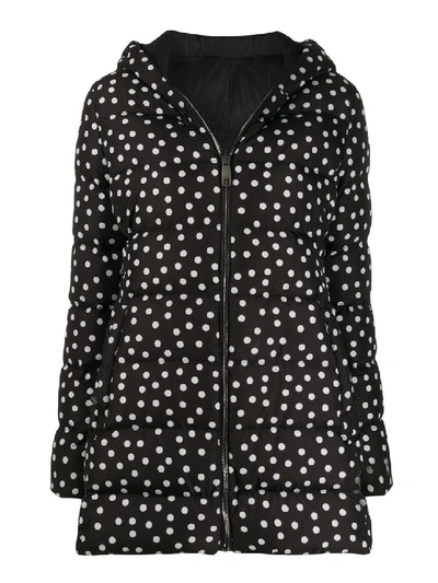 Shop Dolce & Gabbana Polka-dot Waist-tight Puffer Jacket In Black