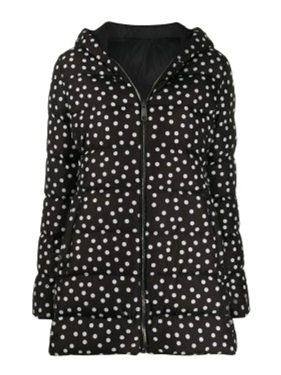 Shop Dolce & Gabbana Polka-dot Waist-tight Puffer Jacket In Black