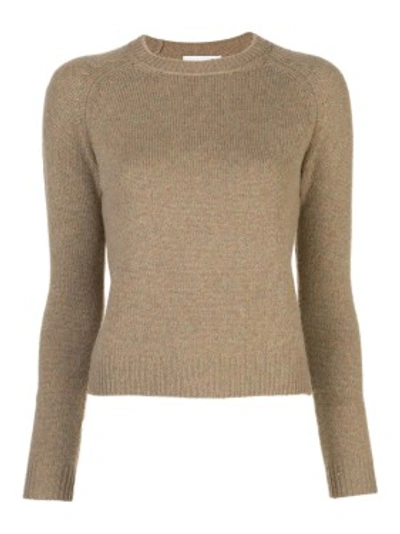 Shop Alexandra Golovanoff Ribbed Crew-neck Cashmere Sweater In Neutrals