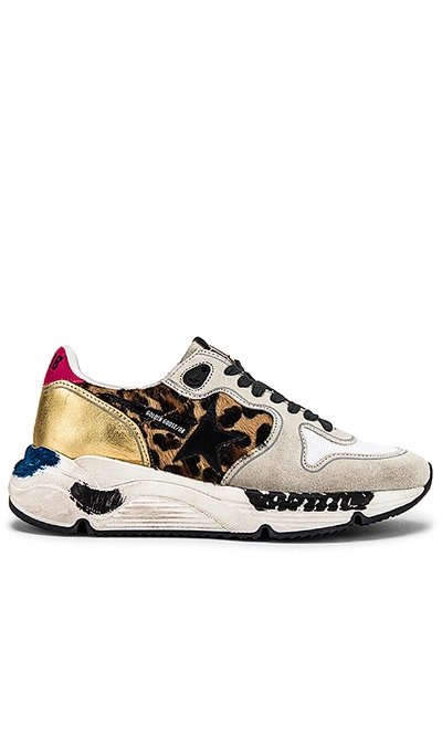 Shop Golden Goose Running Sole Sneaker In Oxy Leopard & Black