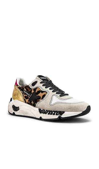 Shop Golden Goose Running Sole Sneaker In Oxy Leopard & Black