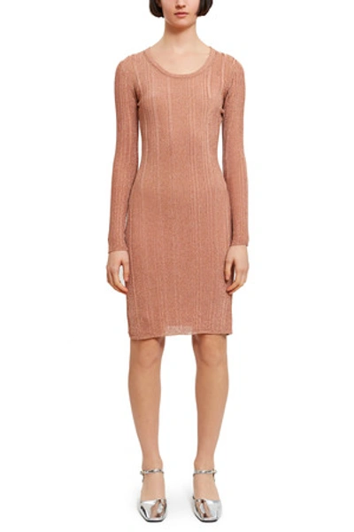 Shop Opening Ceremony Long Sleeve Rib Dress In Blush 6252