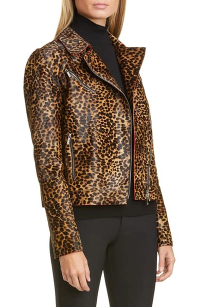 Shop Lafayette 148 Bernice Cheetah Genuine Calf Hair Moto Jacket In Teak Multi