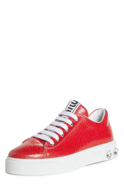 Shop Miu Miu Crystal Detail Skate Platform Sneaker In Rosso