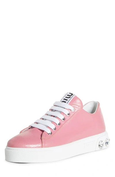 Shop Miu Miu Crystal Detail Skate Platform Sneaker In Begonia