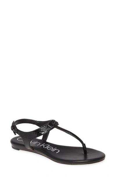 Shop Calvin Klein Shamary T-strap Sandal In Black Snake Print Leather