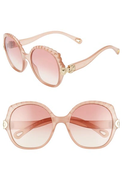 Shop Chloé Vera 56mm Seashell Shape Sunglasses - Nude/ Pink