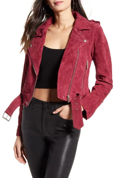 Shop Blanknyc Morning Suede Moto Jacket In Rich Berry