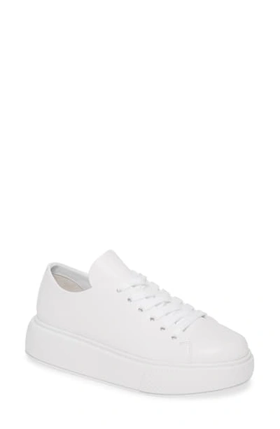 Shop Jeffrey Campbell Entourage Low Top Platform Sneaker In White/ White