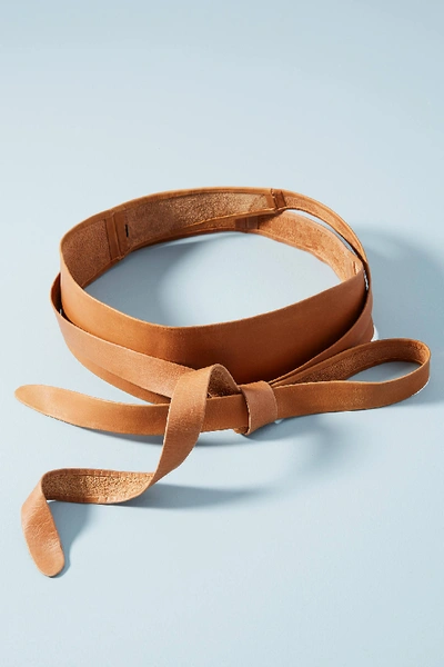 Shop Ada Classic Wrap Belt In Brown