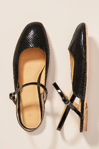 Bill sales blass flats