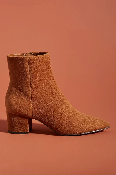 Shop Dolce Vita Bell Ankle Boots In Brown