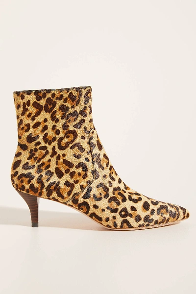 Shop Loeffler Randall Kassidy Leopard Ankle Boots In Assorted