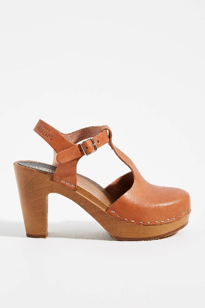 Shop Swedish Hasbeens T-strap Sky High Clog Sandals In Brown