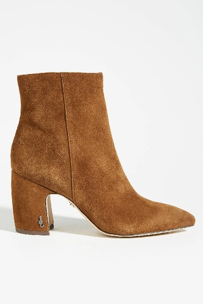 Shop Sam Edelman Hilty Ankle Boots In Brown