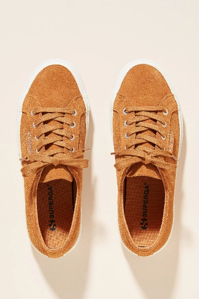 Shop Superga Suede Sneakers In Yellow