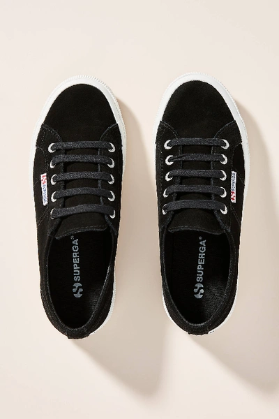 Shop Superga Suede Sneakers In Black