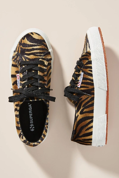 Shop Superga Zebra Low-top Sneakers In Assorted