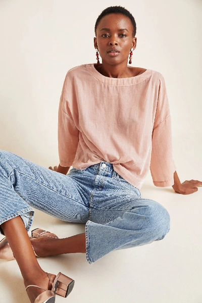 Shop Cupcakes And Cashmere Michaela Velvet Top In Pink