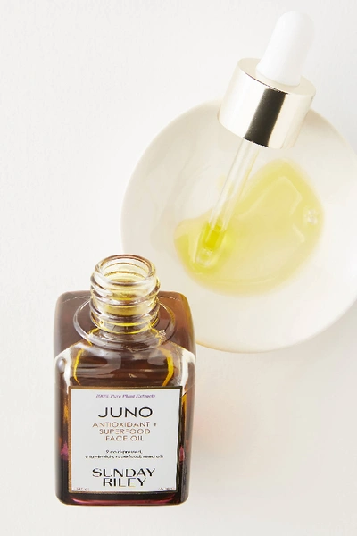 Shop Sunday Riley Juno Antioxidant + Superfood Face Oil In Pink