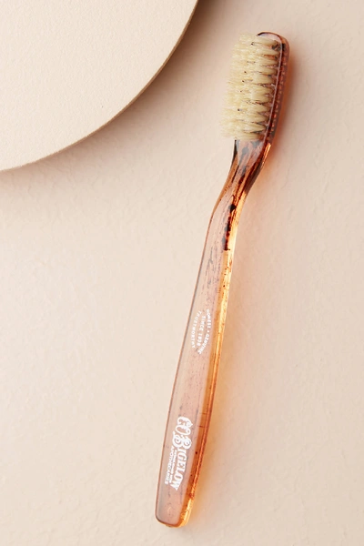 Shop C.o. Bigelow Natural Bristle Toothbrush, Tortoise In Brown