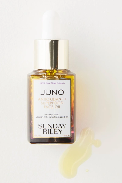 Shop Sunday Riley Juno Antioxidant + Superfood Face Oil, 0.5 Oz. In Pink
