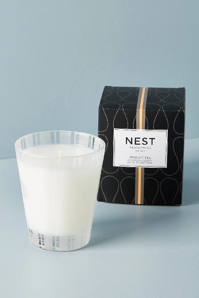 Shop Nest Fragrances Classic Boxed Candle In Assorted