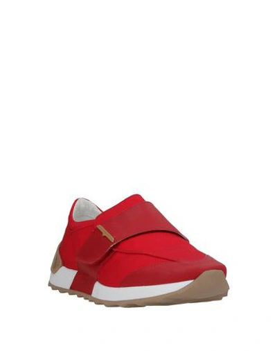 Shop Alberto Guardiani Sneakers In Red